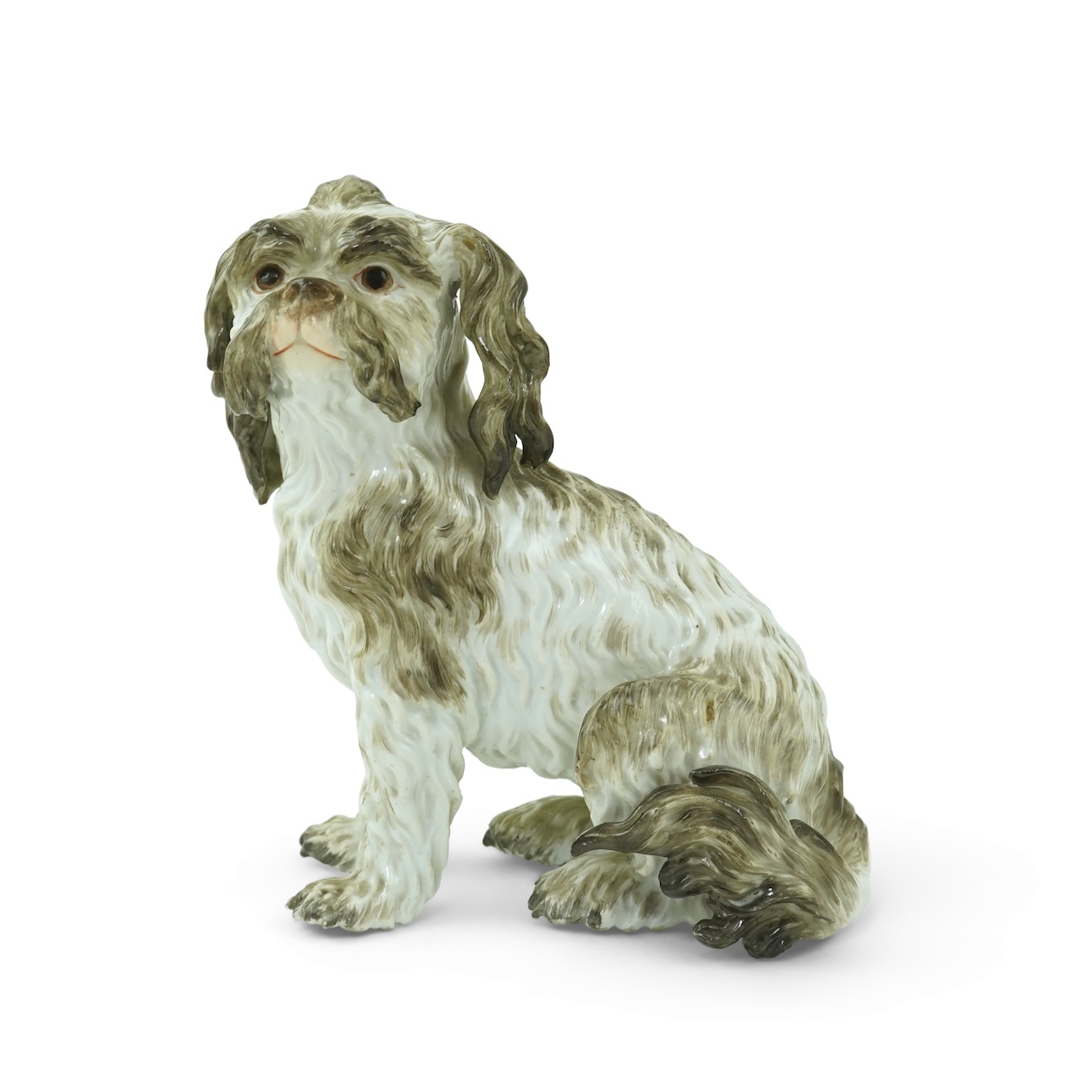 A Meissen figure of a seated Bolognese terrier, 19th century
